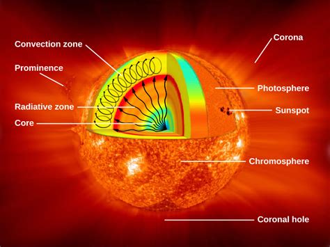 15.1 The Structure and Composition of the Sun – Astronomy