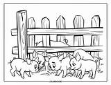 135  Boerderij Kleurplaten Voor Kinderen & Volwassenen Gratis PDF sketch template