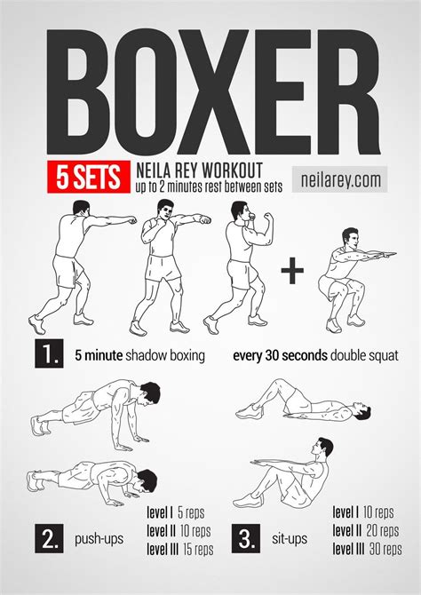 Boxer Workout | Boxer workout, Boxing training workout, Home boxing workout