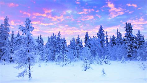 Lapland Winter Travel : Travel and Tour Packages to the Swedish Lapland ...