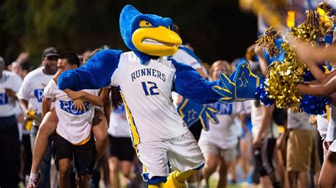 Rowdy the Roadrunner tops USA Today blog's mascot rankings | KBAK