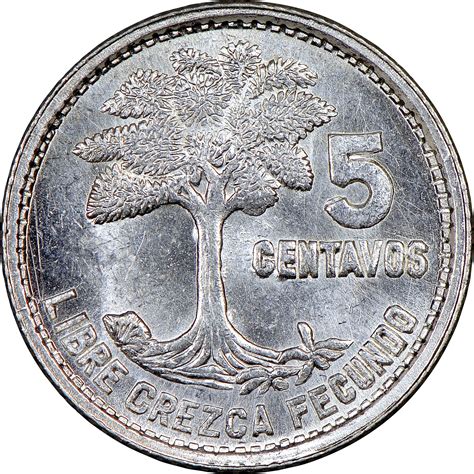 Guatemala 5 Centavos KM 257.1 Prices & Values | NGC