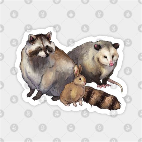 Critters (Raccoon, Rabbit, and Opossum Friends) - Wildlife - Magnet ...