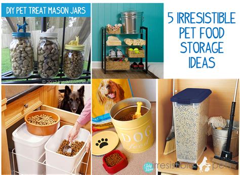 5 Irresistible Pet Food Storage Ideas - Irresistible Pets