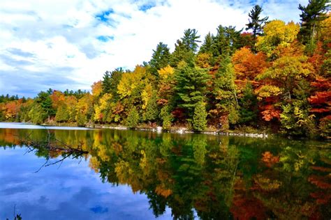 Gatineau Park this morning. : ottawa