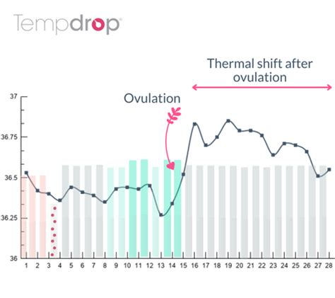 thermal shift and ovulation chart