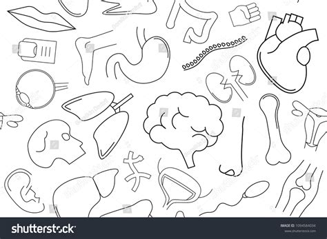 Vector Anatomy Pattern Anatomy Seamless Background Stock Vector ...