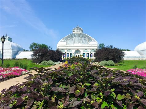 11 Flowers to Seek Out at Buffalo’s Botanical Gardens