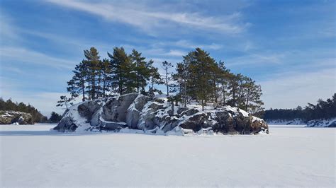 Wildlife Wonders: How Animals Thrive in Winter at Voyageurs — Voyageurs ...