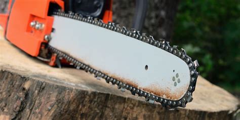 Parts Of Chainsaw: A Complete Breakdown | Backyard Mike