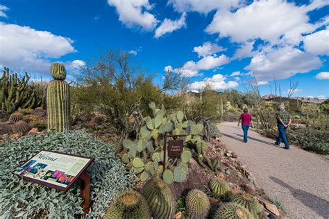 10 Top Tucson Attractions – Forbes Travel Guide Stories