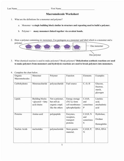 Building Macromolecules Activity Answer Key