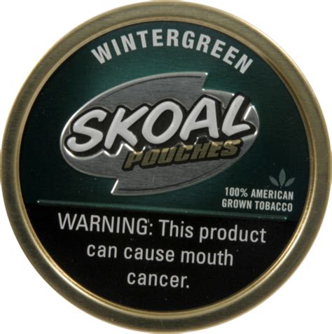 Skoal Pouches Wintergreen Chewing Tobacco, 1 Each - QFC