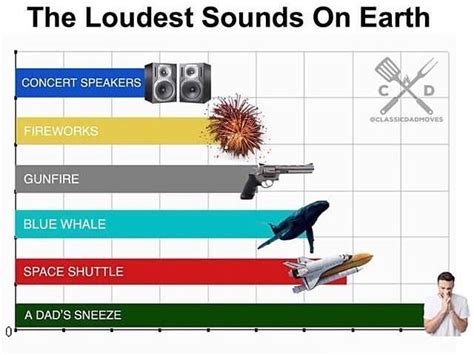 Loudest Sound | Dad Sneeze | Know Your Meme