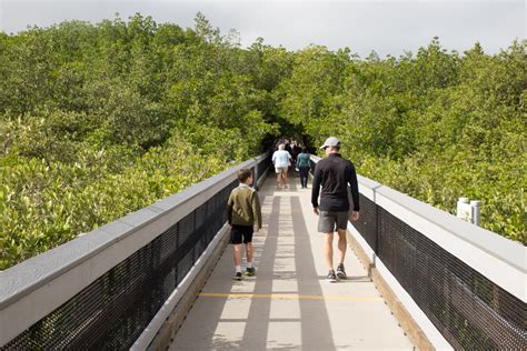 TECO Manatee Viewing Center In Tampa – The Florida Guidebook