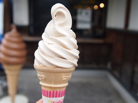 10 Most Unique Ice Cream Flavors in Japan | Japan Wonder Travel Blog