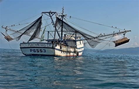 Pesca de arrasto: entenda como acontece a destruição - Mar em Fim