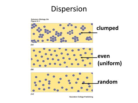 PPT - Population Cycle PowerPoint Presentation, free download - ID:2832017