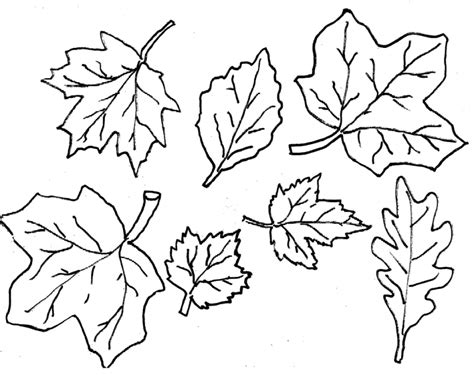 20+ Free Printable Fall Leaves Coloring Pages - EverFreeColoring.com