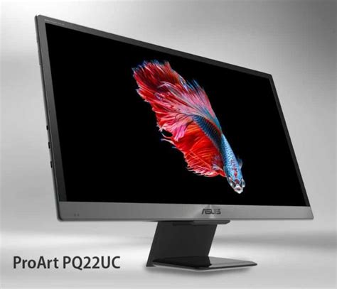 Asus PQ22UC Review – 22-inch 4K OLED Monitor with USB-C - GearOpen.com