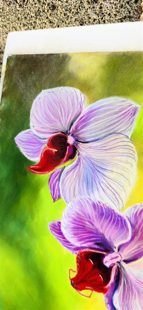 Orchid Painting Pastel Original Floral Drawing Soft Pastel Drawing ...