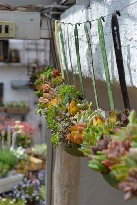 Creative Indoor And Outdoor Succulent Garden Ideas 2017