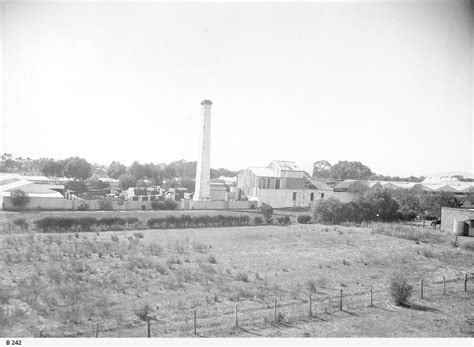 Edwardstown, South Australia • Photograph • State Library of South Australia