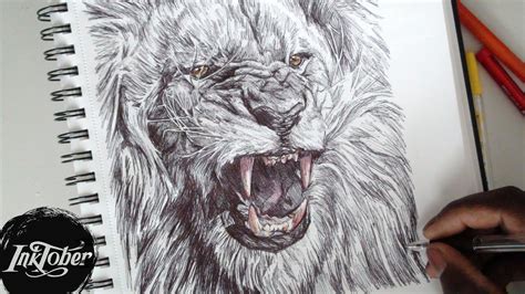 EPIC LION ROAR PEN DRAWING - INKTOBER DAY 2 (2017) - YouTube