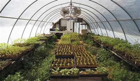 6 Tools for the Perfect Greenhouse Temperature - Hobby Farms