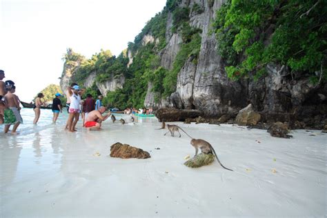 Phi Phi Islands snorkeling tour | Thailand Liveaboards