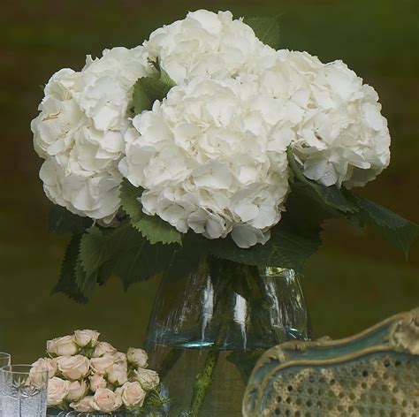 Our Favorite Hydrangea Arrangements | Flower Magazine