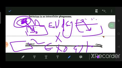 lec 2, Function of cell membrane ( plasmalemma) Histology, Dr. Mohamed Saaid - YouTube