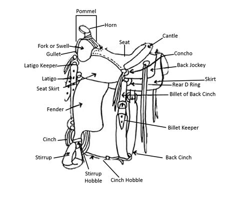 Printable Parts Of A Western Saddle