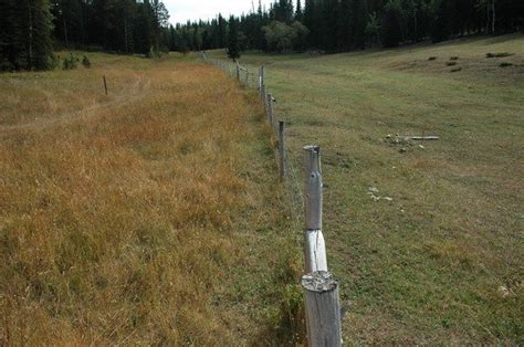 Petition · Halt livestock overgrazing on the Black Hills National Forest. · Change.org