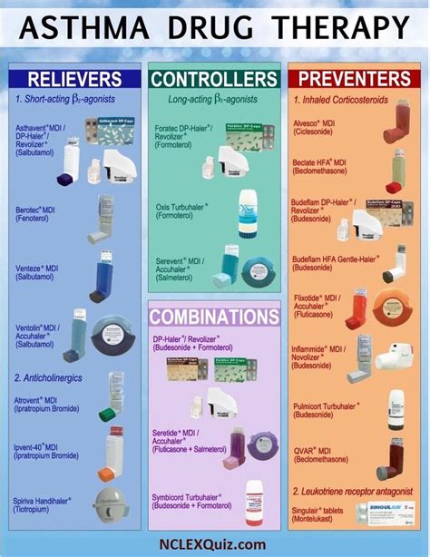 Chien pas cher Négocier types of asthma inhalers Gros Serment faire pire