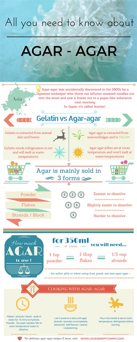 All you need to know about agar agar – Artofit