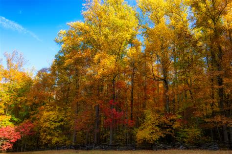 Top 5 Ways to Enjoy Fall Colors in the Smoky Mountains