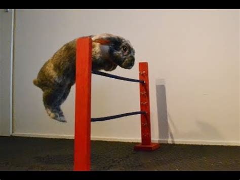 Bunny jumping: Different types of obstacles - YouTube