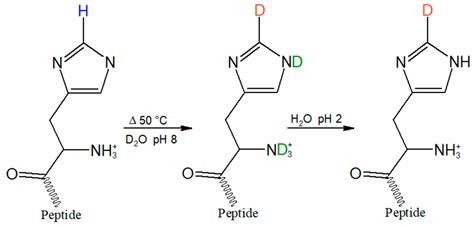 Histidinetitrationcurvewithstructures