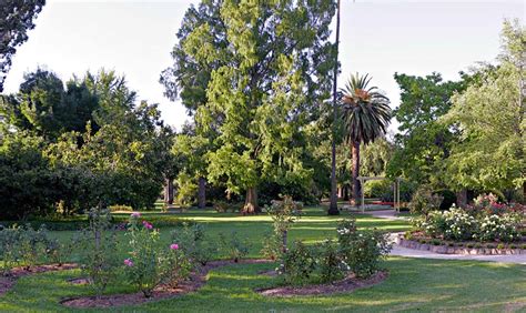 Albury Botanic Garden - Australian Botanical Gardens