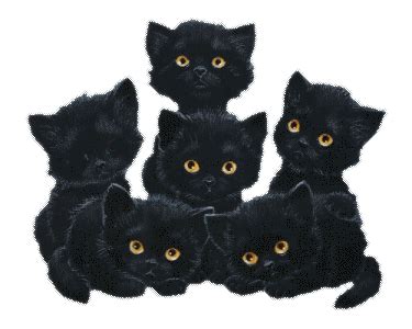 luv animals DDD 3d gif animated pets black cats photo background free ...