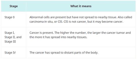 Understanding Cancer Staging - Mid-Florida Cancer Centers