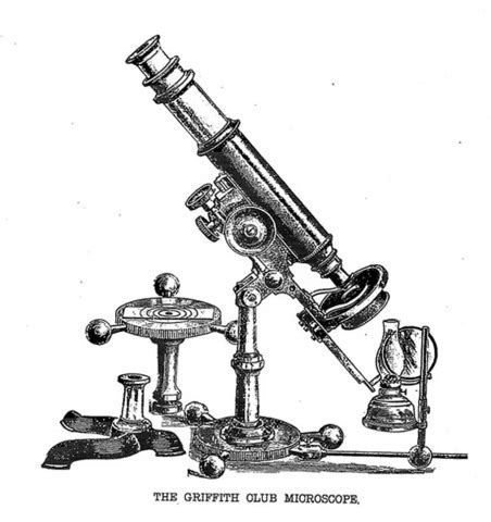 The History of the Microscope and Cell Theory timeline | Timetoast timelines