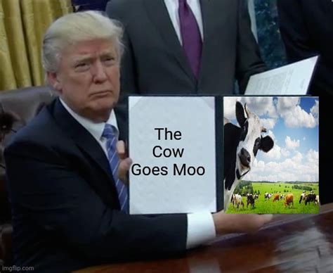 Cow goes moo - Imgflip