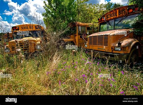 United States, Mississippi, Roxie, school bus junkyard Stock Photo - Alamy