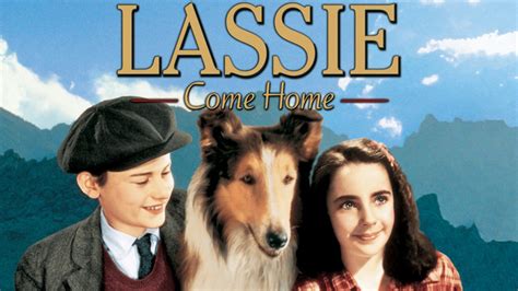 Lassie Come Home (1943) - HBO Max | Flixable