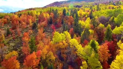 Fall foliage in the NC mountains: Boom or bust this year? - ABC11 ...