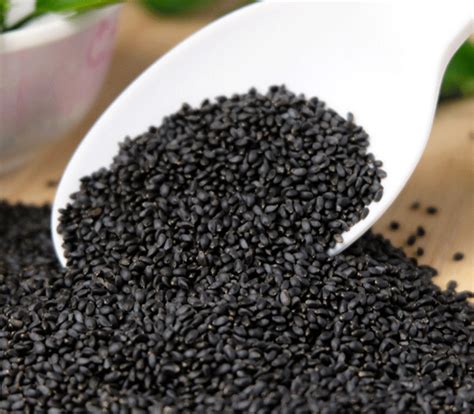 Basil Seeds – Amiras Agro and Foods