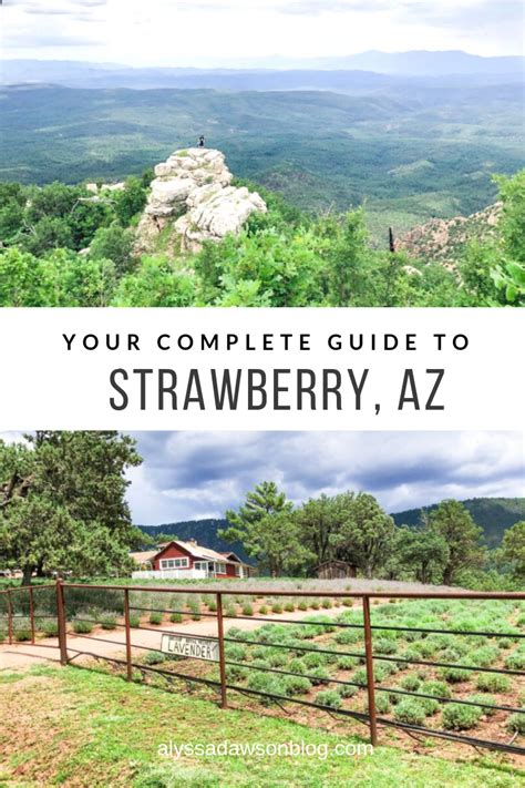 Your Complete Guide to Strawberry, Arizona