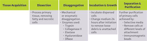 Primary Cell Culture Guide | ATCC